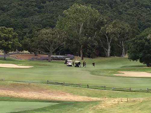 Golfing at Carmel Valley Ranch